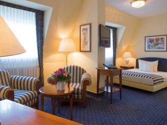 Superior Single Room
