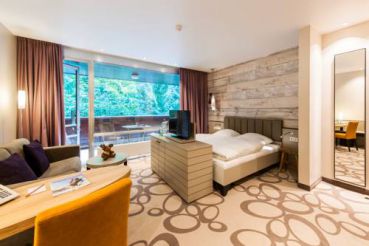 Premium Double Room with Park View