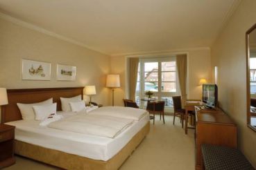 Superior Double Room with River View