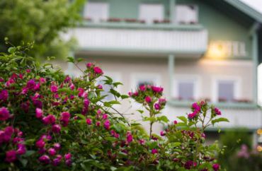 Gartenhotel Salzach