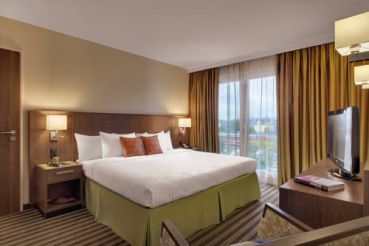 Business King Room