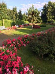 MeinDarssUrlaub im Appartment zur Seebrücke