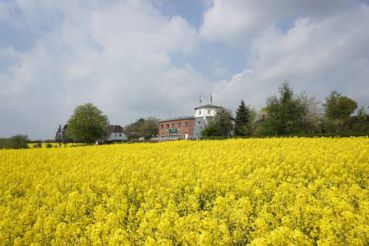 Landgasthof Waabs Mühle