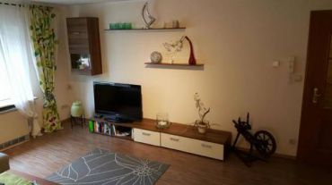Apartment (2-3 Adults)