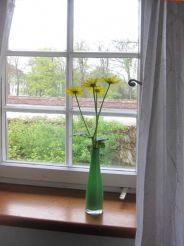 Apartment with Garden View