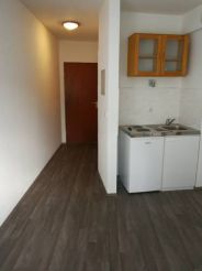 Business/holiday Apartment Mainz Downtown